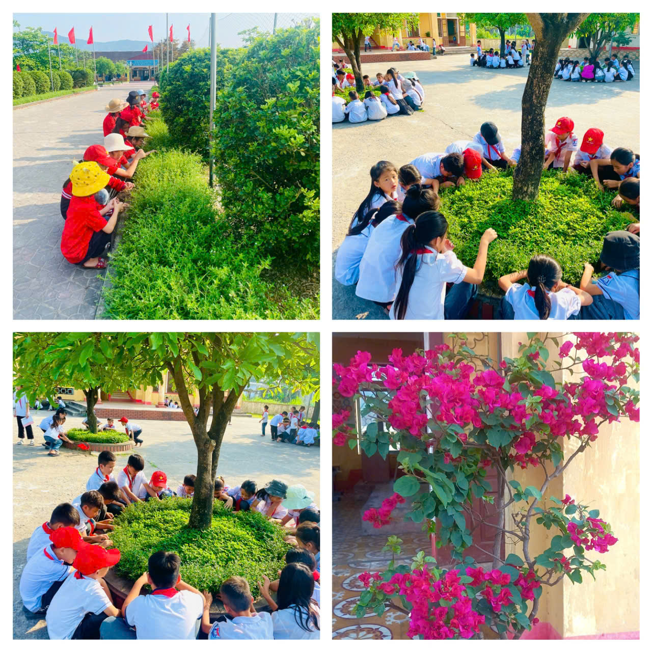 CÔNG TRÌNH MĂNG NON "BỒN  HOA EM CHĂM" CHÀO MỪNG KỶ NIỆM 50 NĂM NGÀY GIẢI PHÓNG MIỀN NAM, THỐNG NHẤT ĐẤT NƯỚC (30/4/1975 – 30/4/2025).